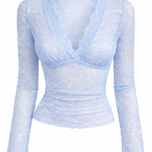 Sheer Lace Top